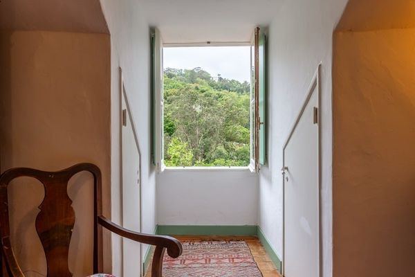 The Green Room's reading corner: a chair set at a tall window that opens onto the trees.